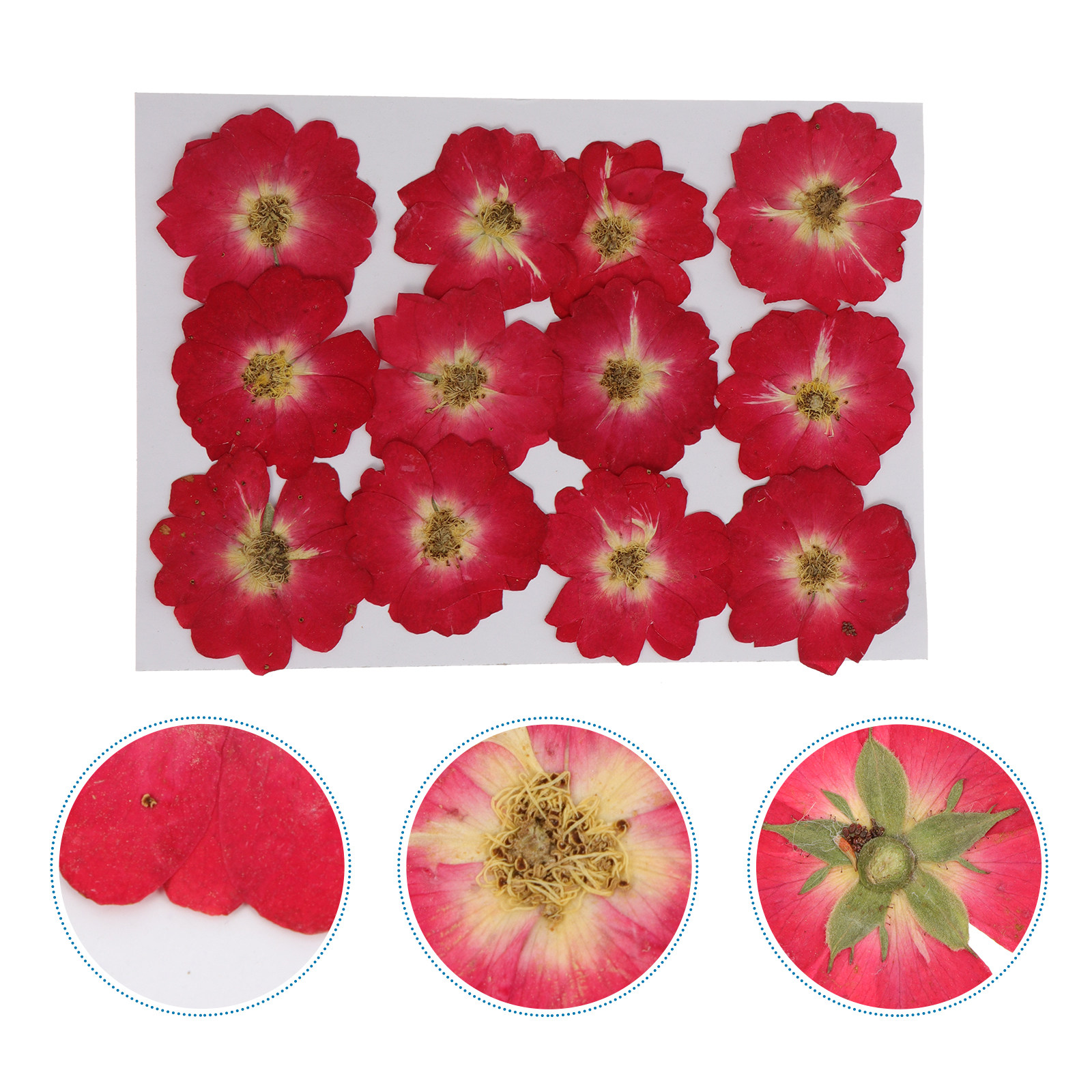 Resin Craft Kit - 12Pcs Natural Dried Rose Pressed Flowers