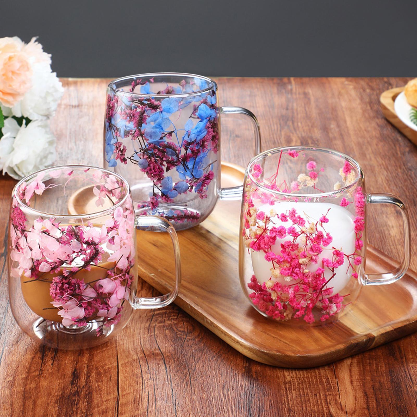 Dried Flower Bulk - 450ml Double Wall Glass Coffee Mugs
