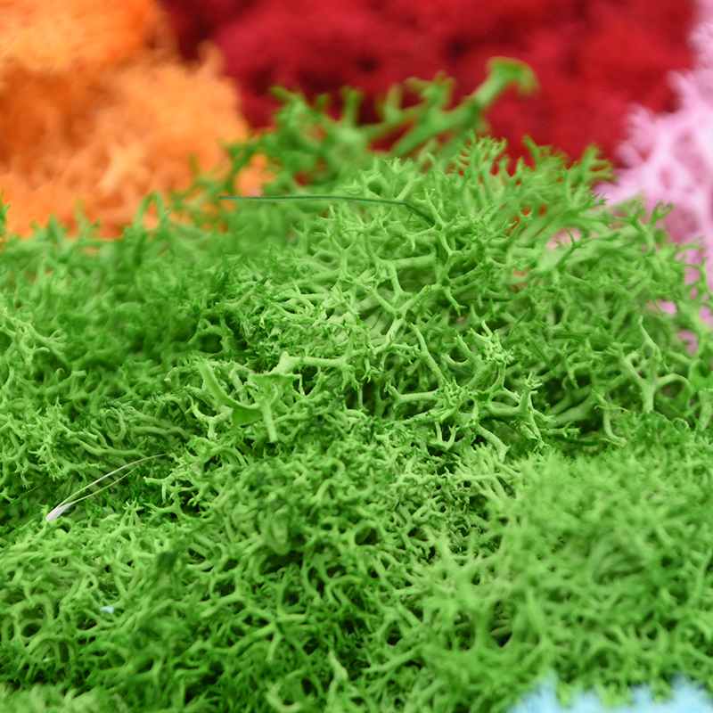20/40g Artificial Green Plants - Terrarium Moss Art recension och pris