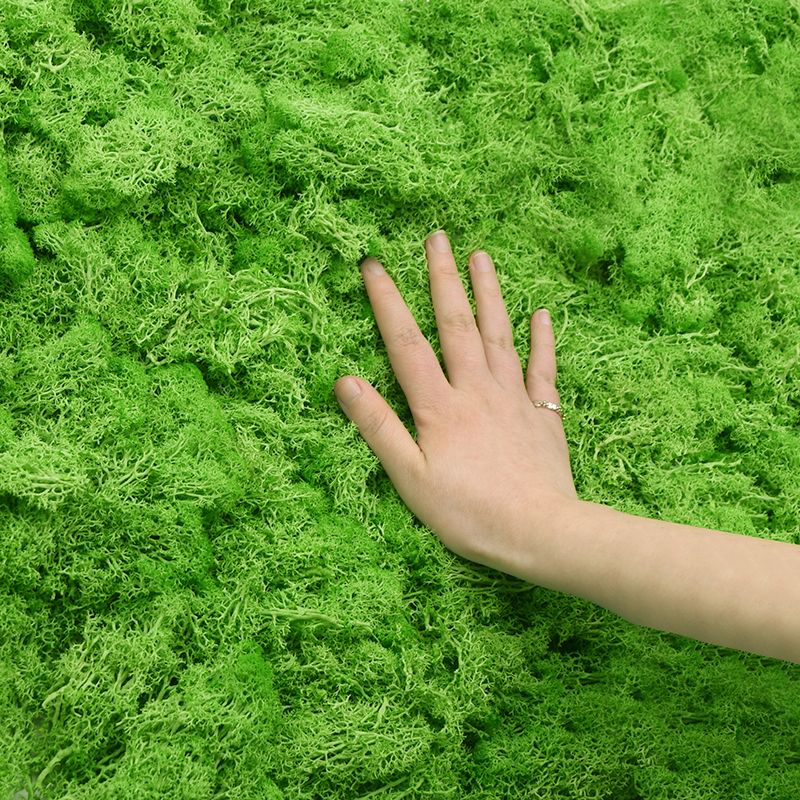 20/40g Artificial Green Plants - Terrarium Moss Art recension och pris