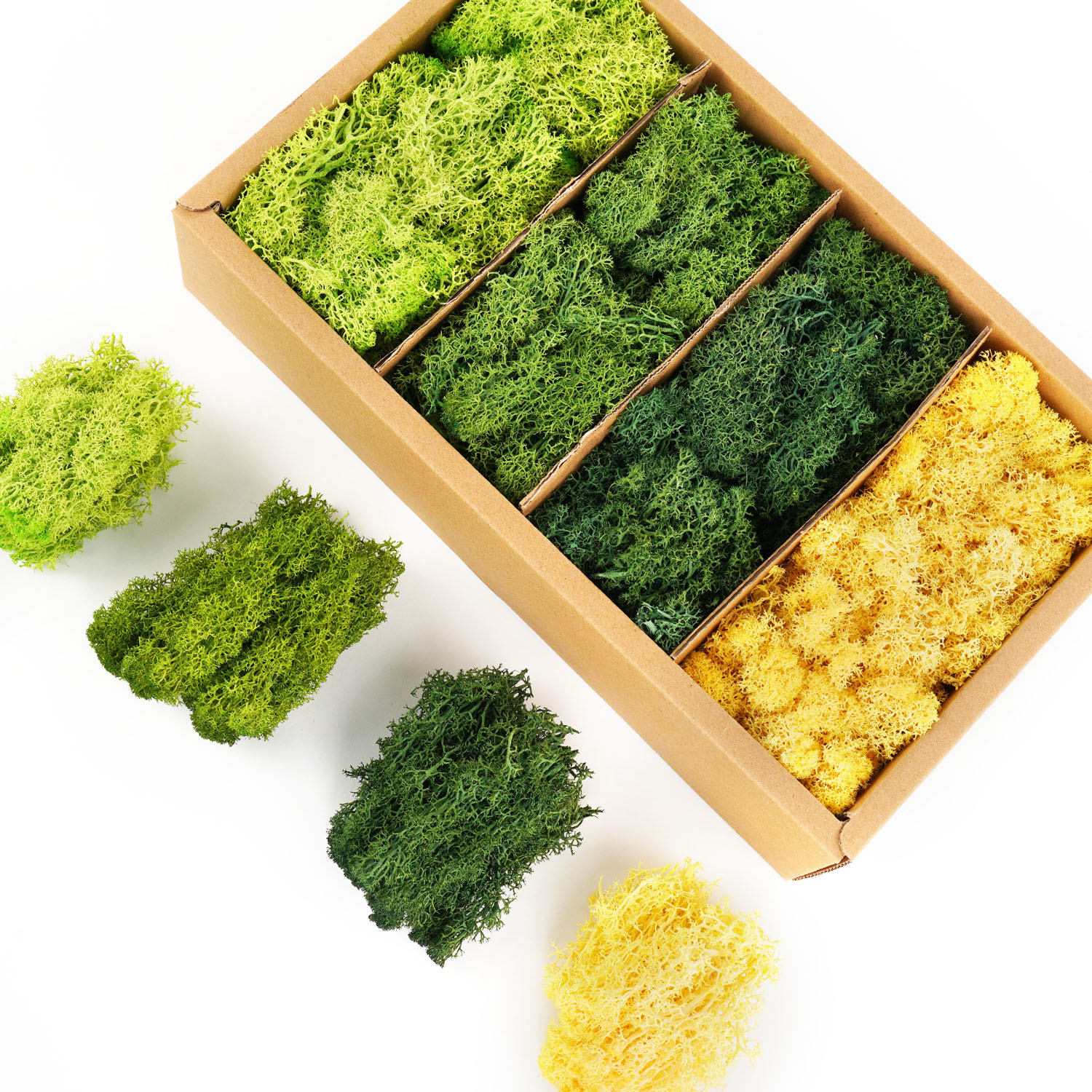 Artificial Green Plants Eterna - Terrarium Moss Art recension och pris