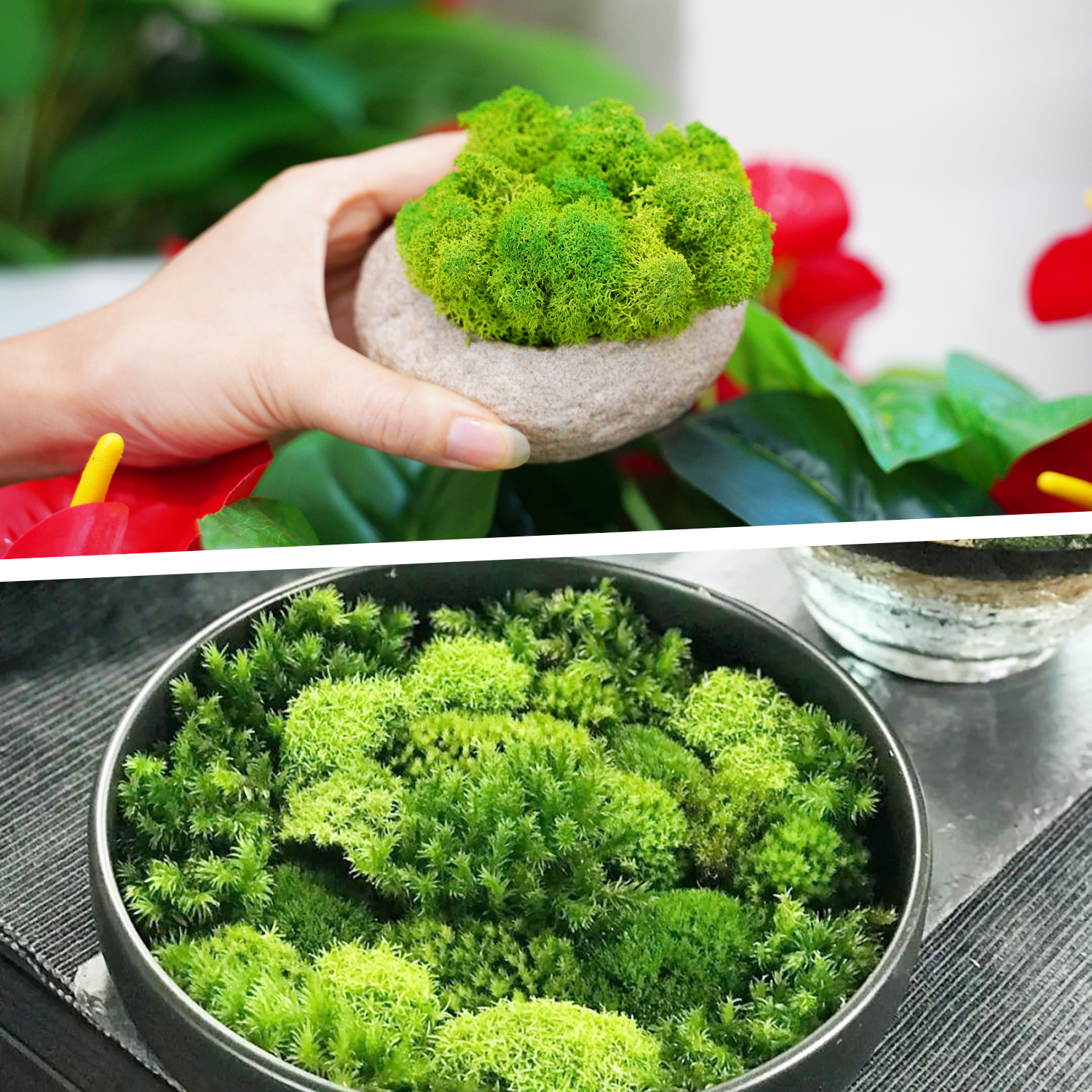 Artificial Green Plants Eterna - Terrarium Moss Art recension och pris