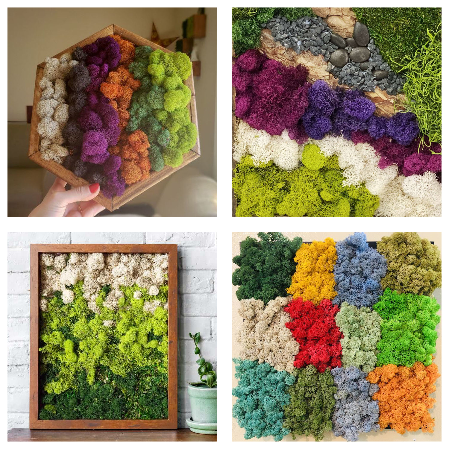 Artificial Green Plants Eterna - Terrarium Moss Art recension och pris