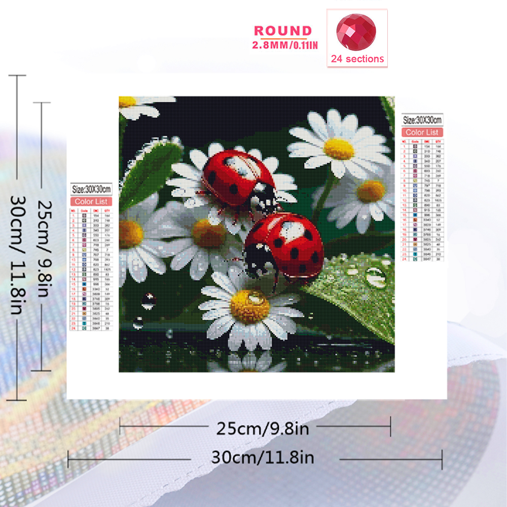 Momoart Diamond Painting Ladyb - Resin Craft For Beginners recension och pris
