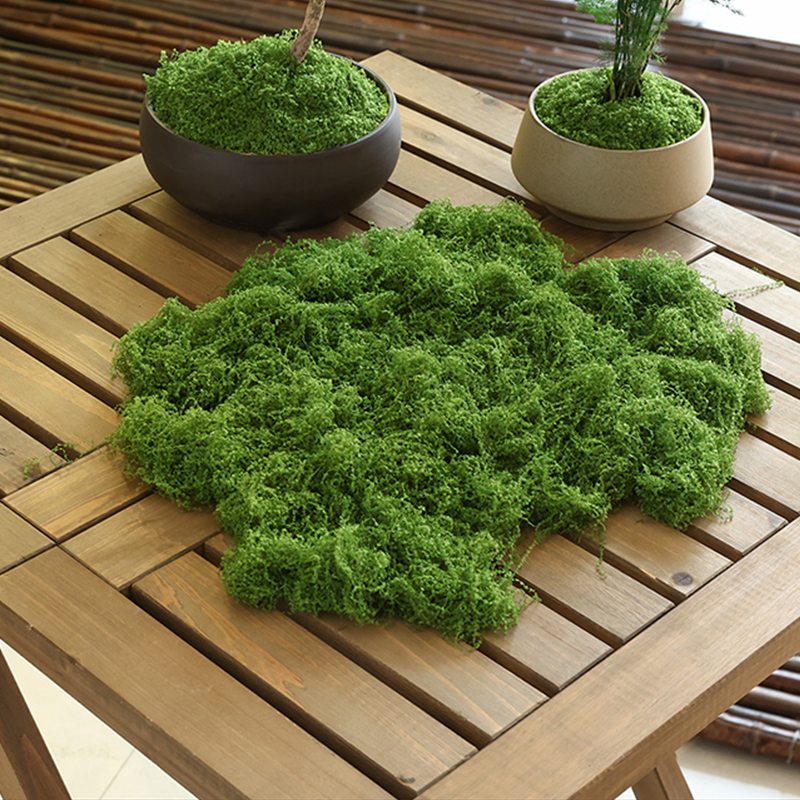 about 20g Artificial Green Pla - Terrarium Moss Art recension och pris