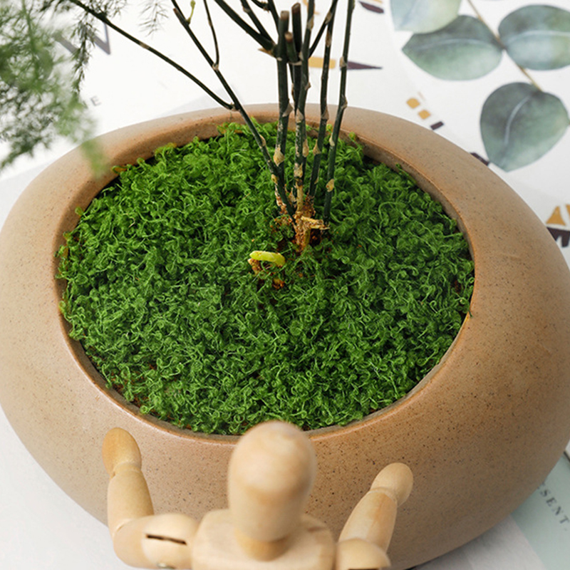 about 20g Artificial Green Pla - Terrarium Moss Art recension och pris