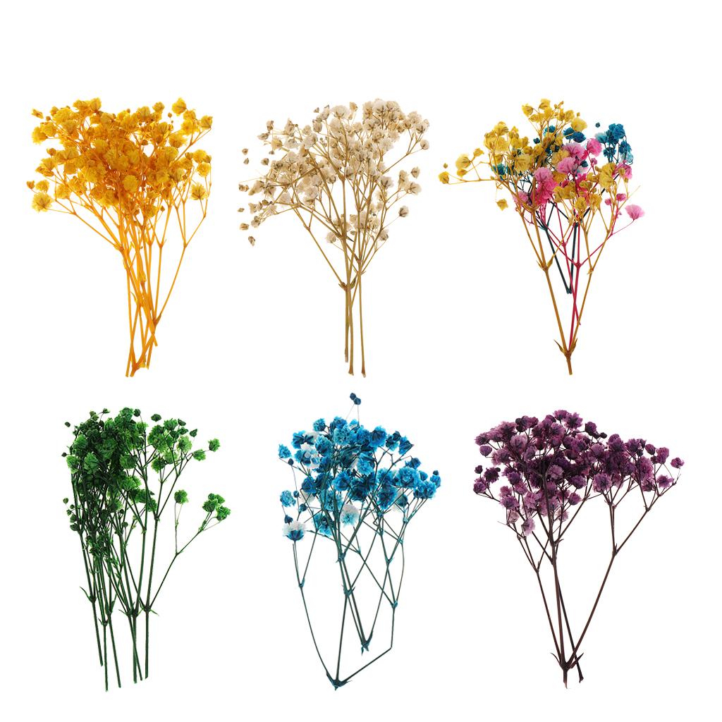 Pressed Dried Natural Flowers  - Resin Craft Ideas recension och pris
