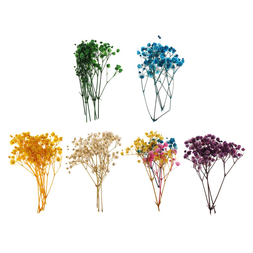 Pressed Dried Natural Flowers  - Resin Craft Ideas recension och pris
