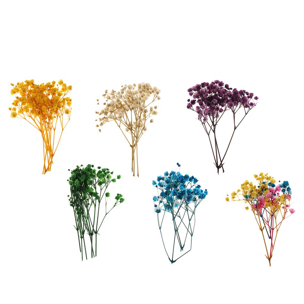 Pressed Dried Natural Flowers  - Resin Craft Ideas recension och pris