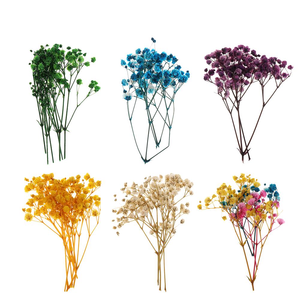 Pressed Dried Natural Flowers  - Resin Craft Ideas recension och pris