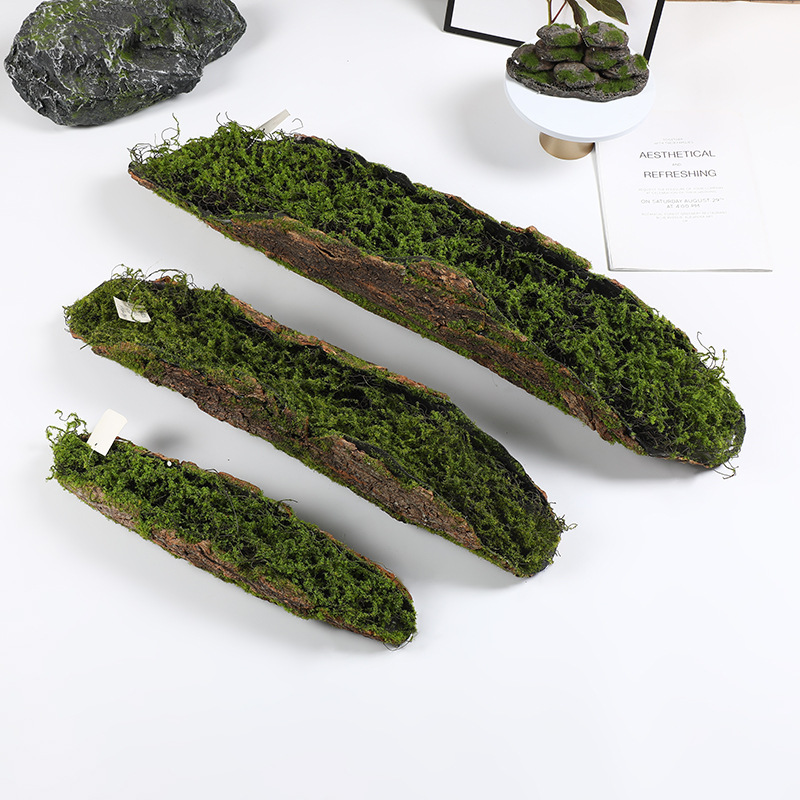 Creative Bark Moss Moss Artifi - Terrarium Moss Art recension och pris