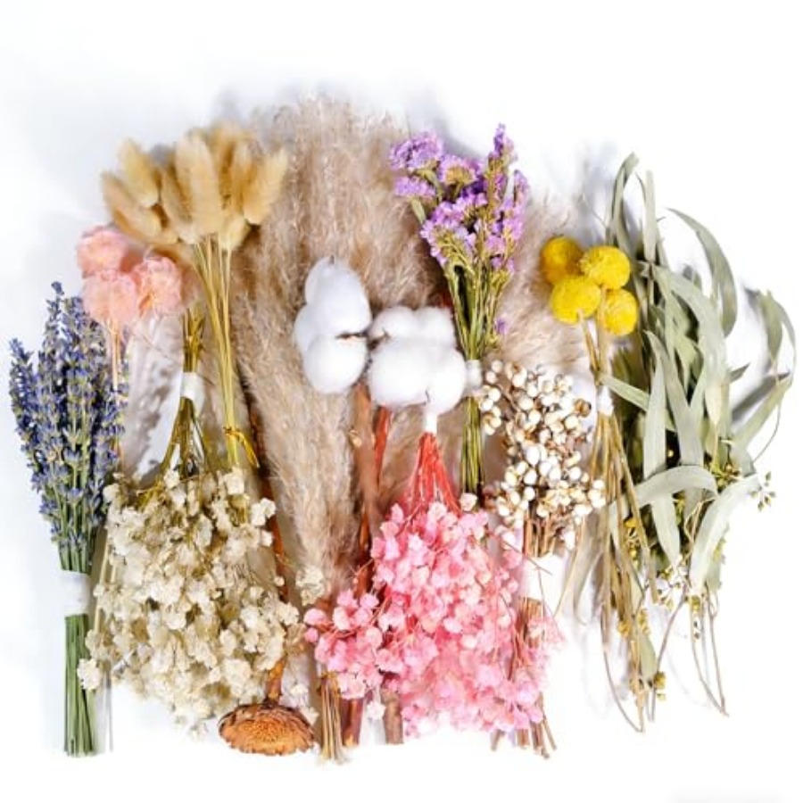12 Kinds Natural Dried Flower  - Dried Flower Bulk recension och pris