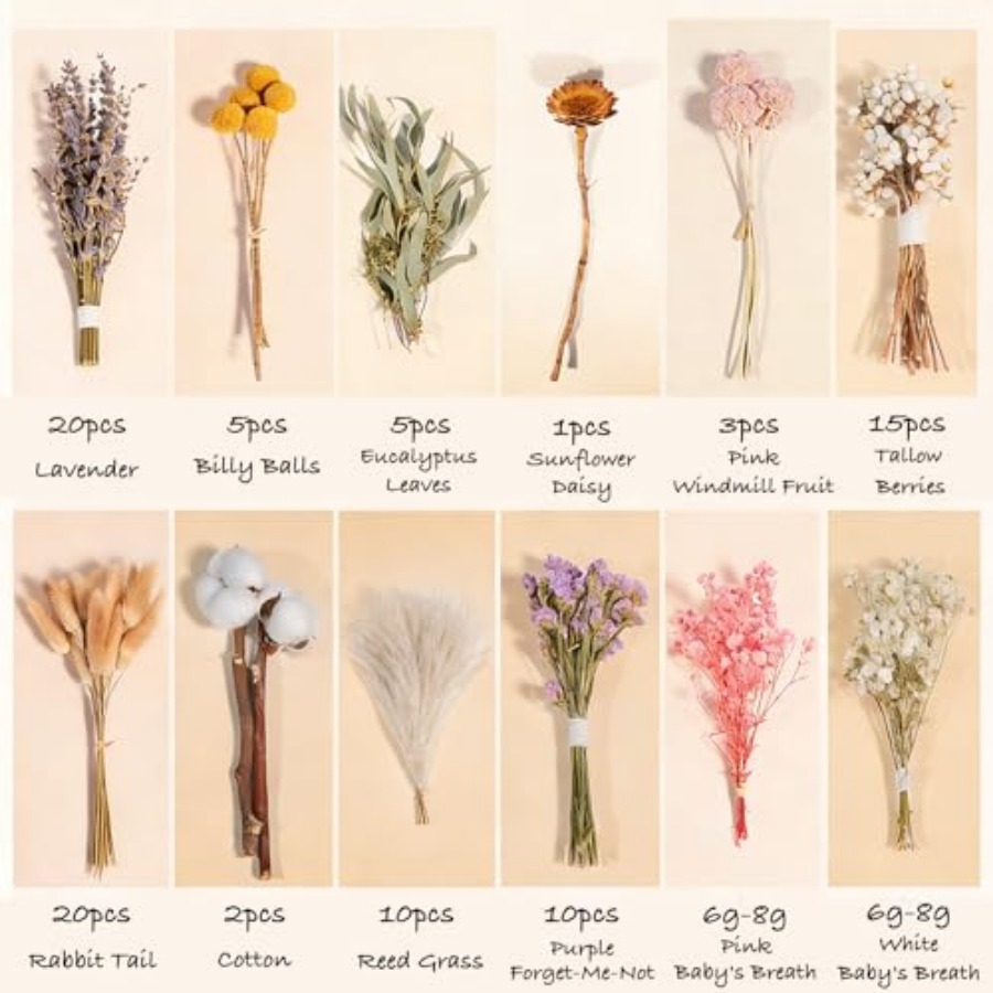 12 Kinds Natural Dried Flower  - Dried Flower Bulk recension och pris