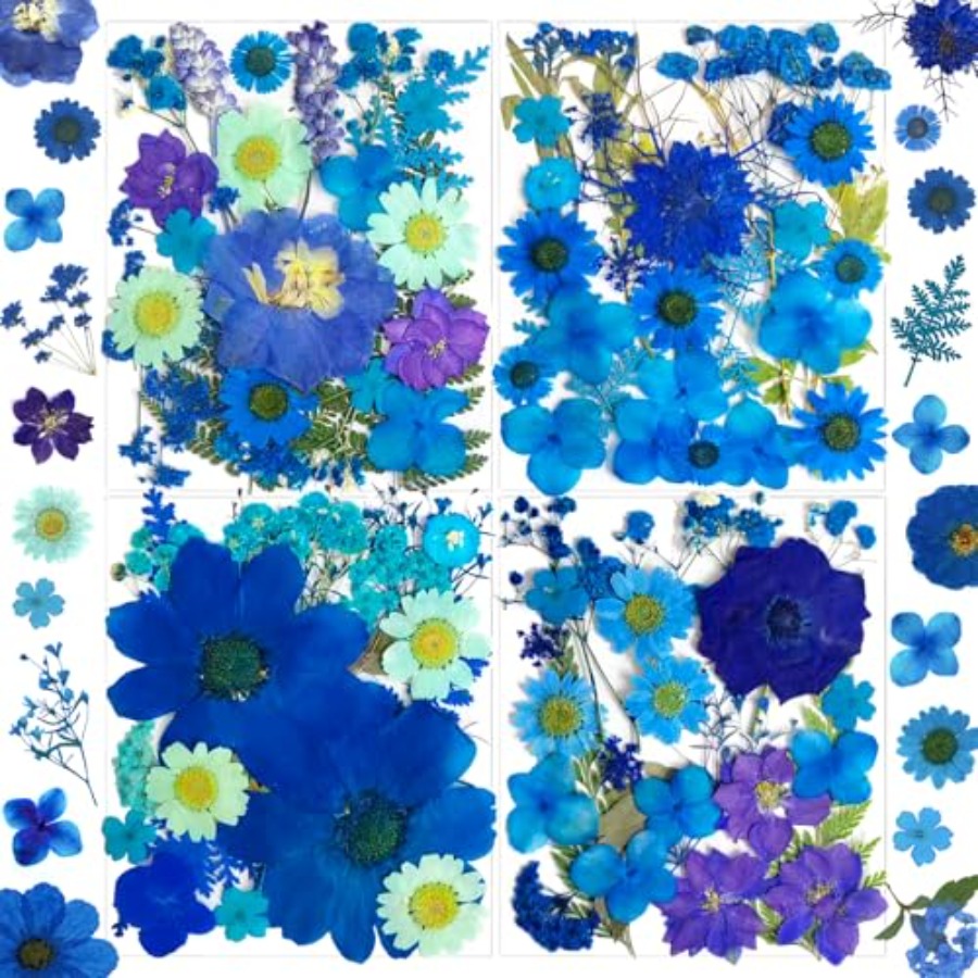 94Pcs Dried Pressed Flowers fo - Dried Flower Bulk recension och pris