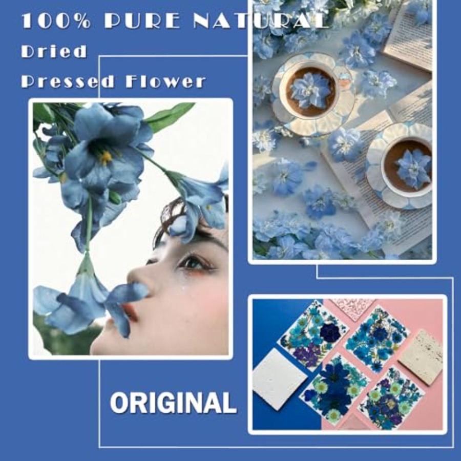 94Pcs Dried Pressed Flowers fo - Dried Flower Bulk recension och pris