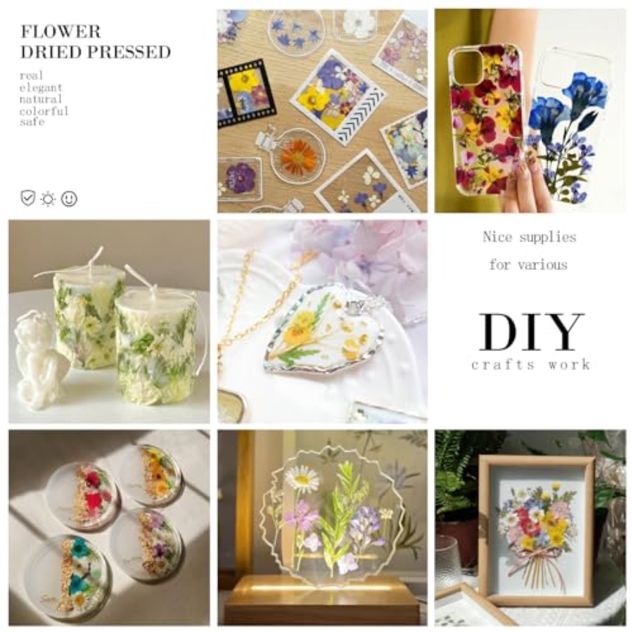 94Pcs Dried Pressed Flowers fo - Dried Flower Bulk recension och pris