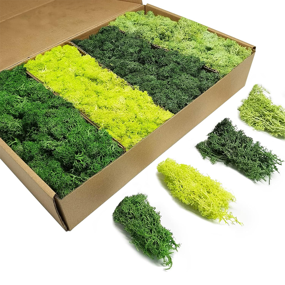Artificial Green Plants Eterna - Terrarium Moss Art recension och pris