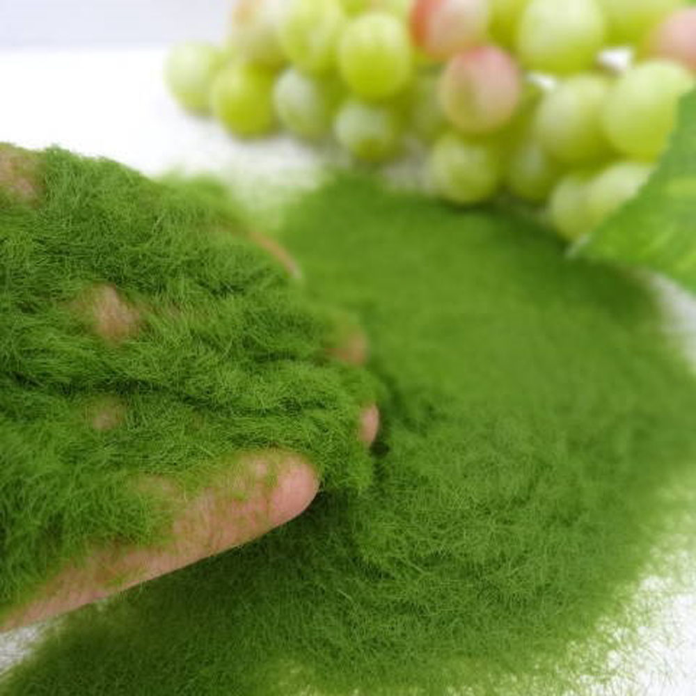 35g/Bag Sandbox Game Artificia - Terrarium Moss Art recension och pris