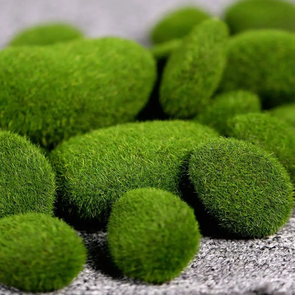 Floral Arrangements Fake Stone - Terrarium Moss Art recension och pris