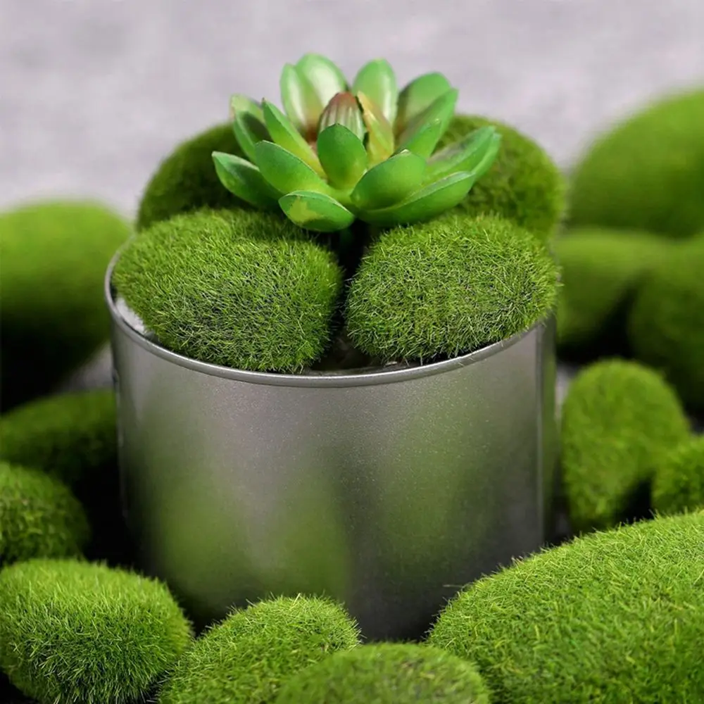 Floral Arrangements Fake Stone - Terrarium Moss Art recension och pris