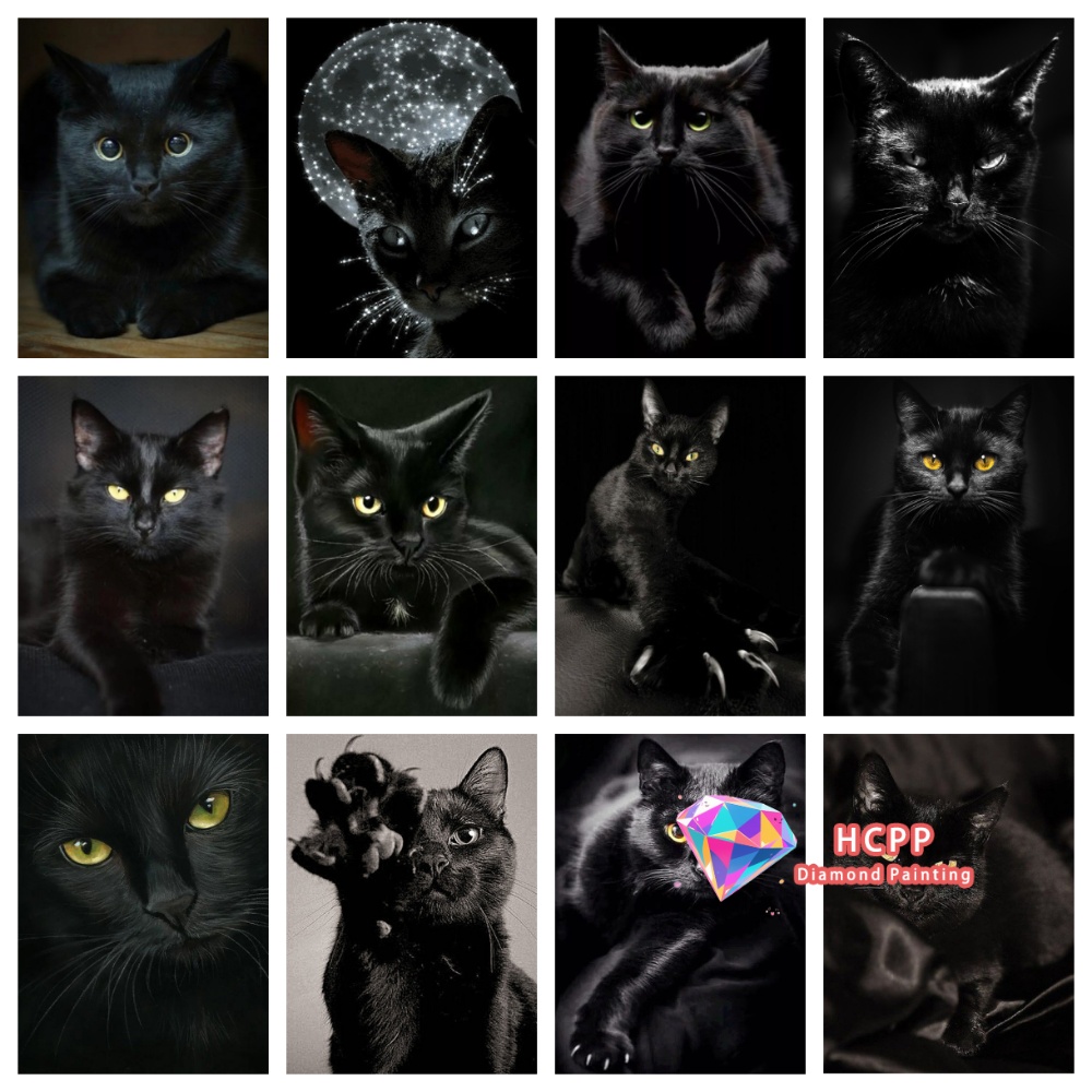 unframe Black Cat Animal Diamo - Resin Craft Kit recension och pris