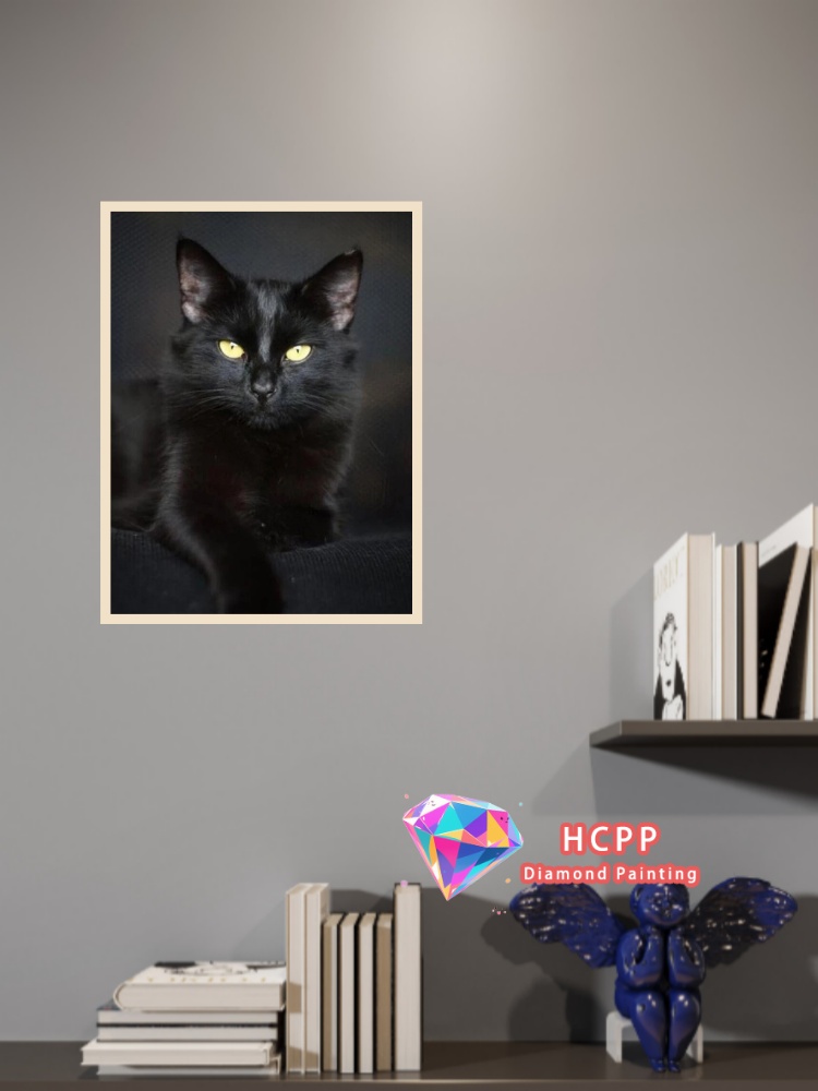 unframe Black Cat Animal Diamo - Resin Craft Kit recension och pris