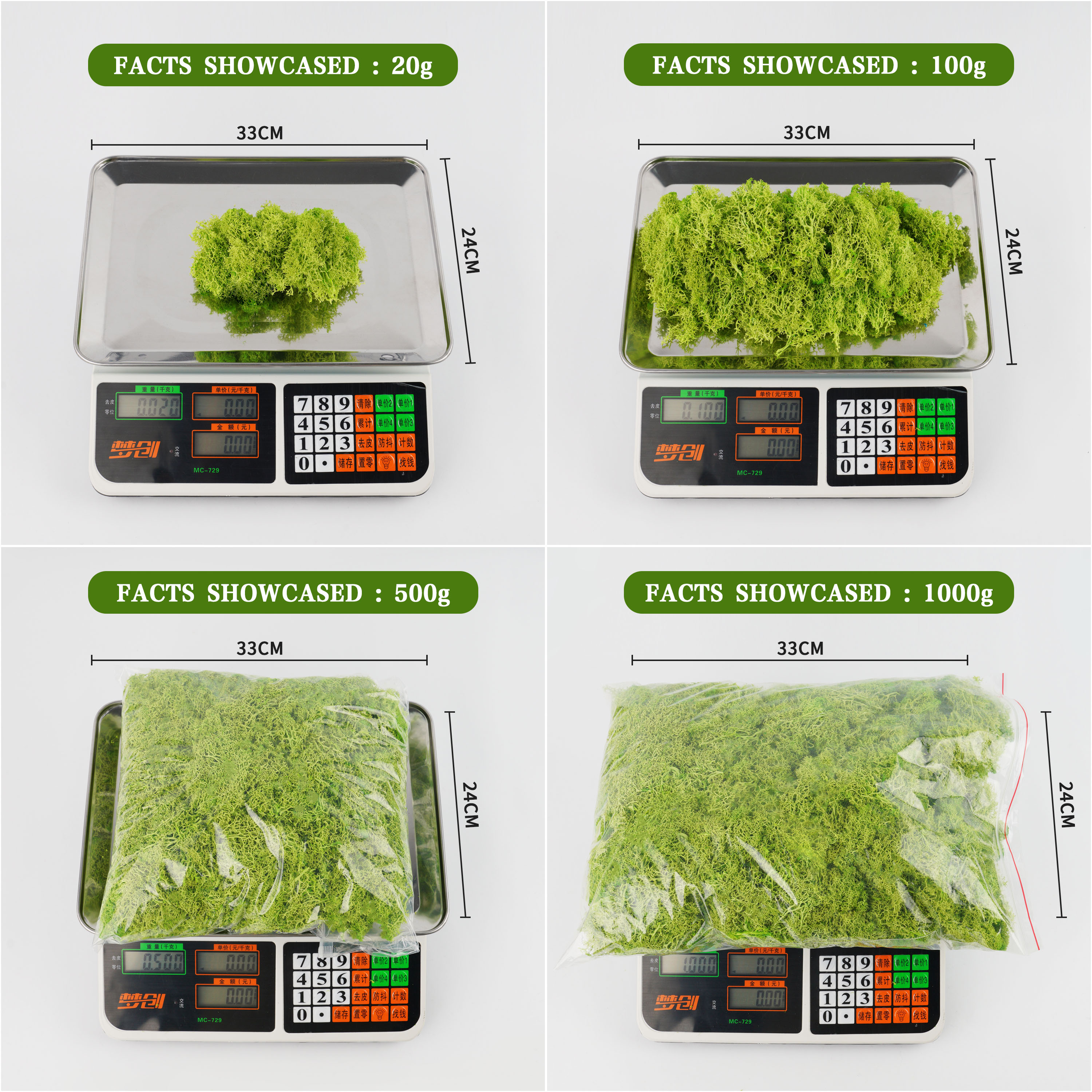 20/40/100g Eternal Life Moss D - Terrarium Moss Art recension och pris
