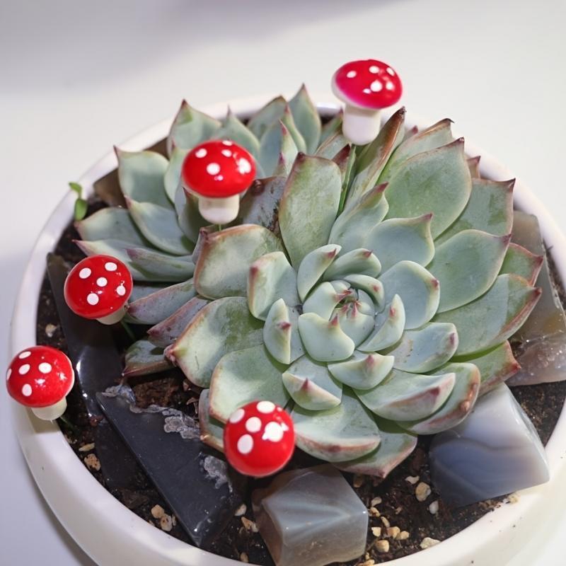 10-80PCS Mini Color Mushroom D - Terrarium Moss Art recension och pris