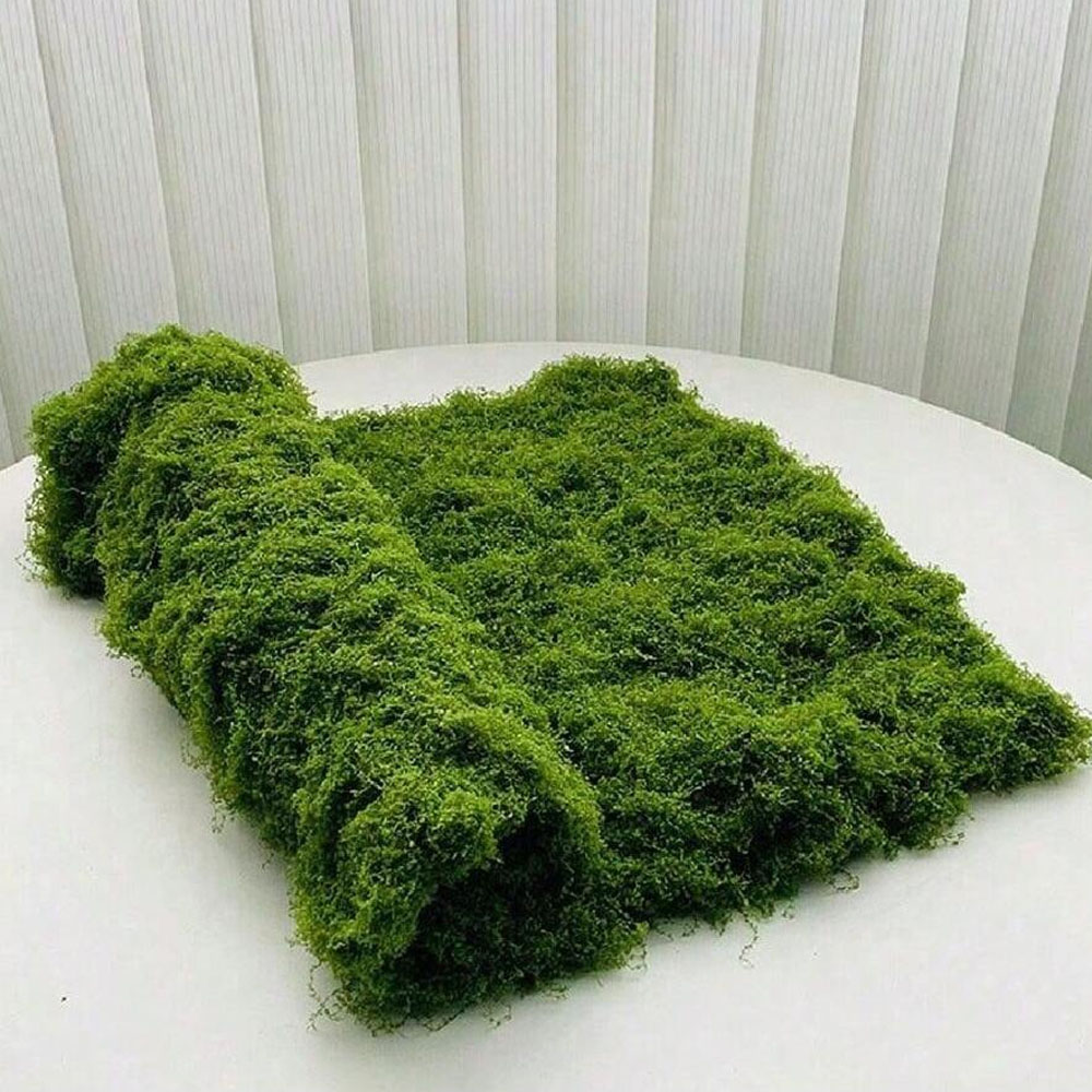 1*1m Fake Moss DIY Crafts Gras - Terrarium Moss Art recension och pris