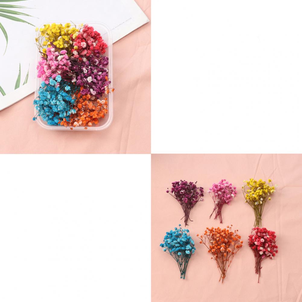 Natural Flowers Diy Dried Flow - Dried Flower Bulk recension och pris