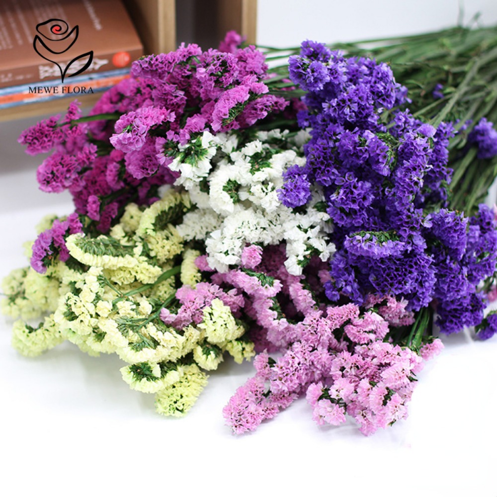 100g Dried Forget Me Not Flowe - Dried Flower Bulk recension och pris