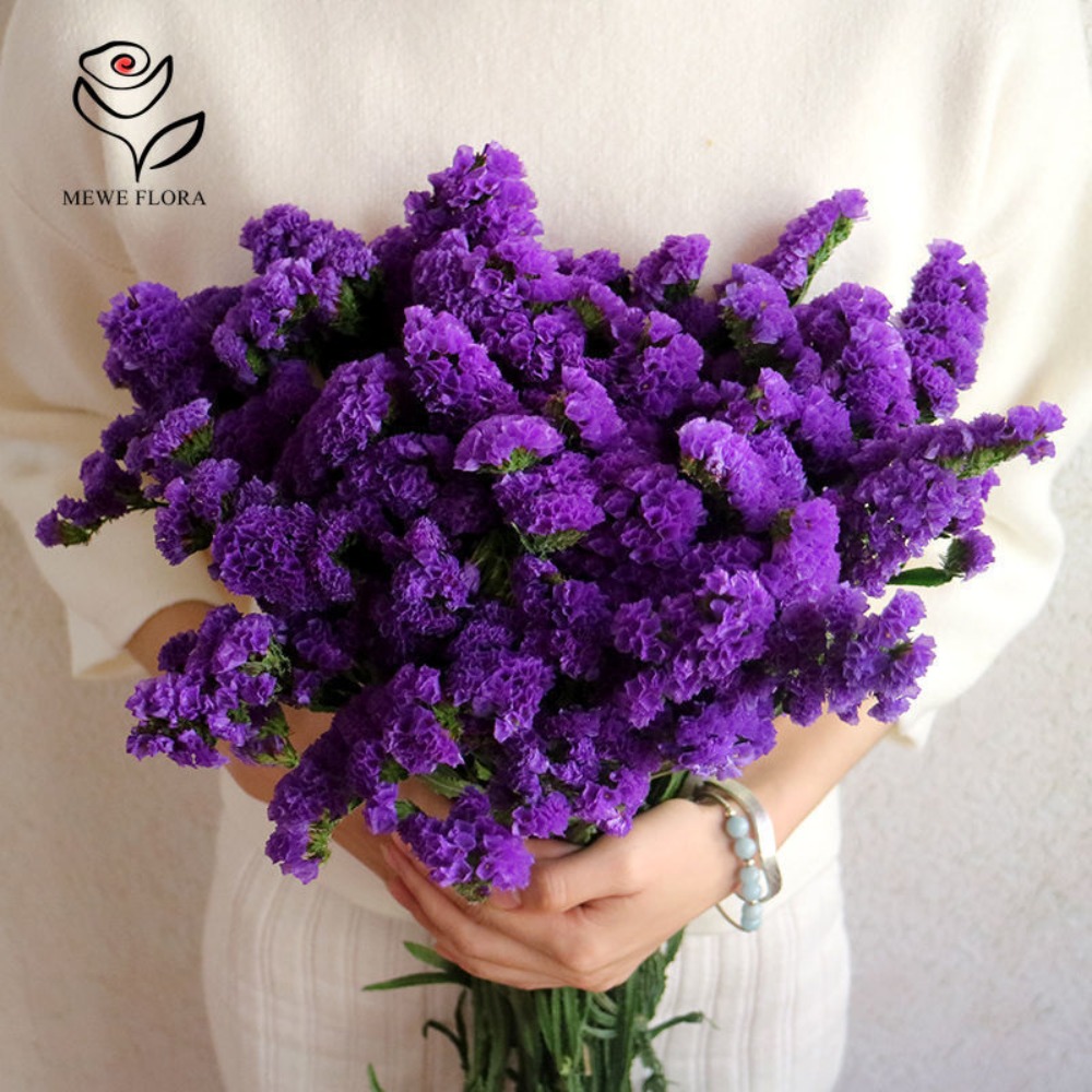 100g Dried Forget Me Not Flowe - Dried Flower Bulk recension och pris