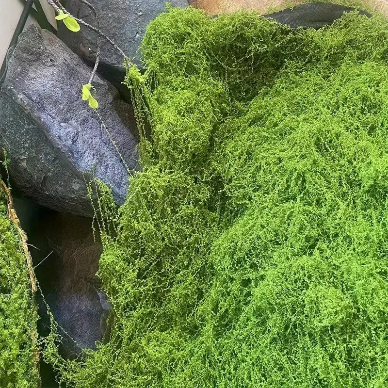 Green Fake Moss DIY Crafts Gra - Terrarium Moss Art recension och pris