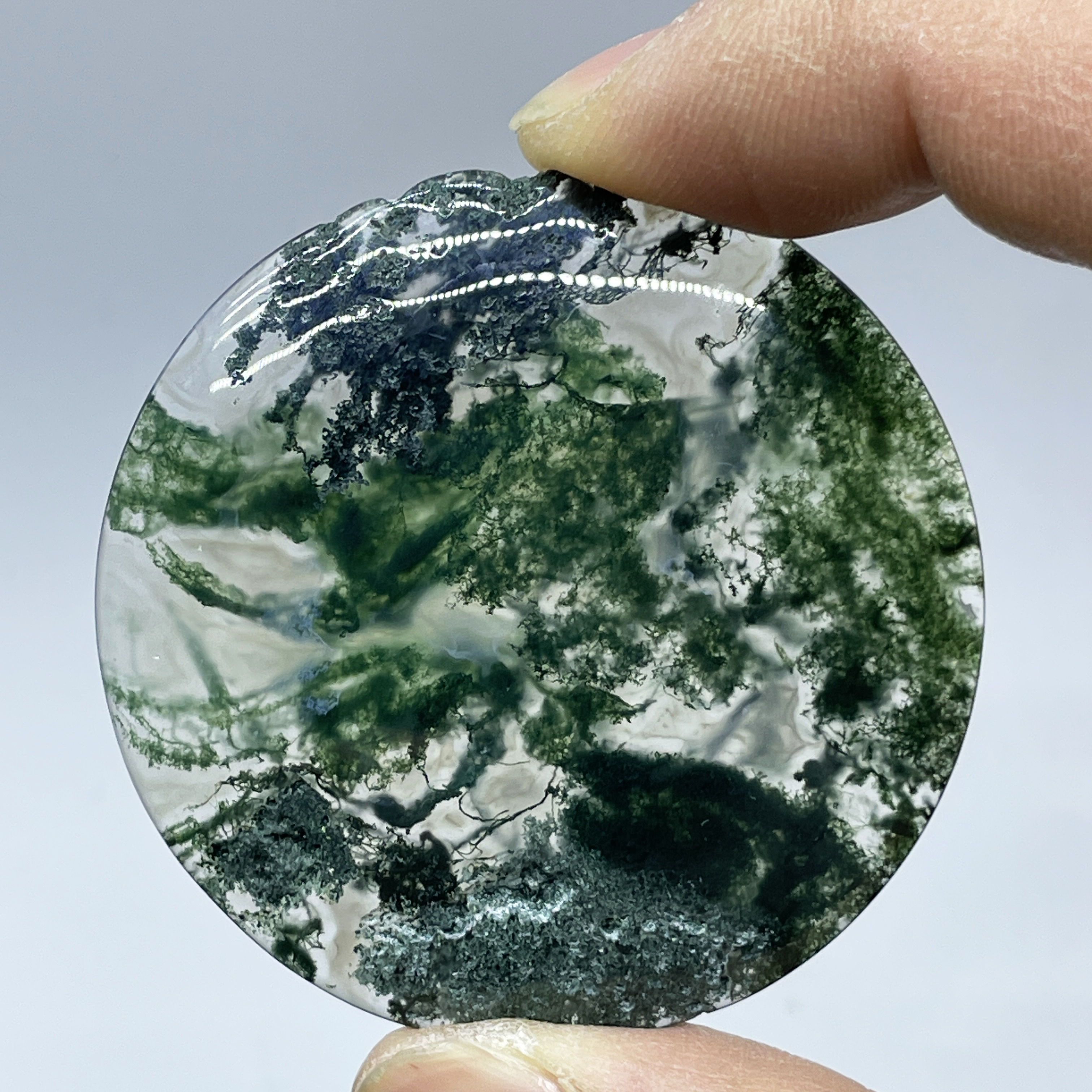 Natural Crystal Moss Agate Wat - Terrarium Moss Art recension och pris