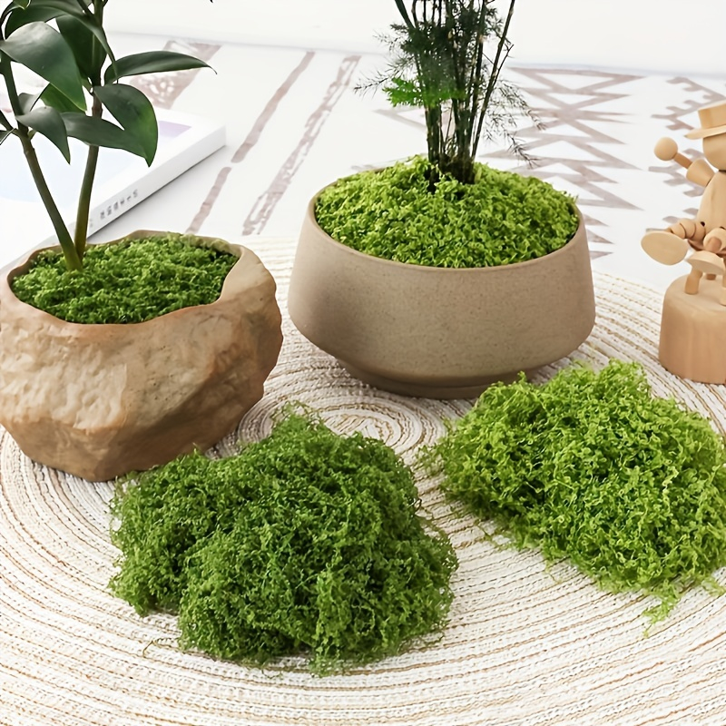 30/50/100g Fake Green Moss Art - Terrarium Moss Art recension och pris