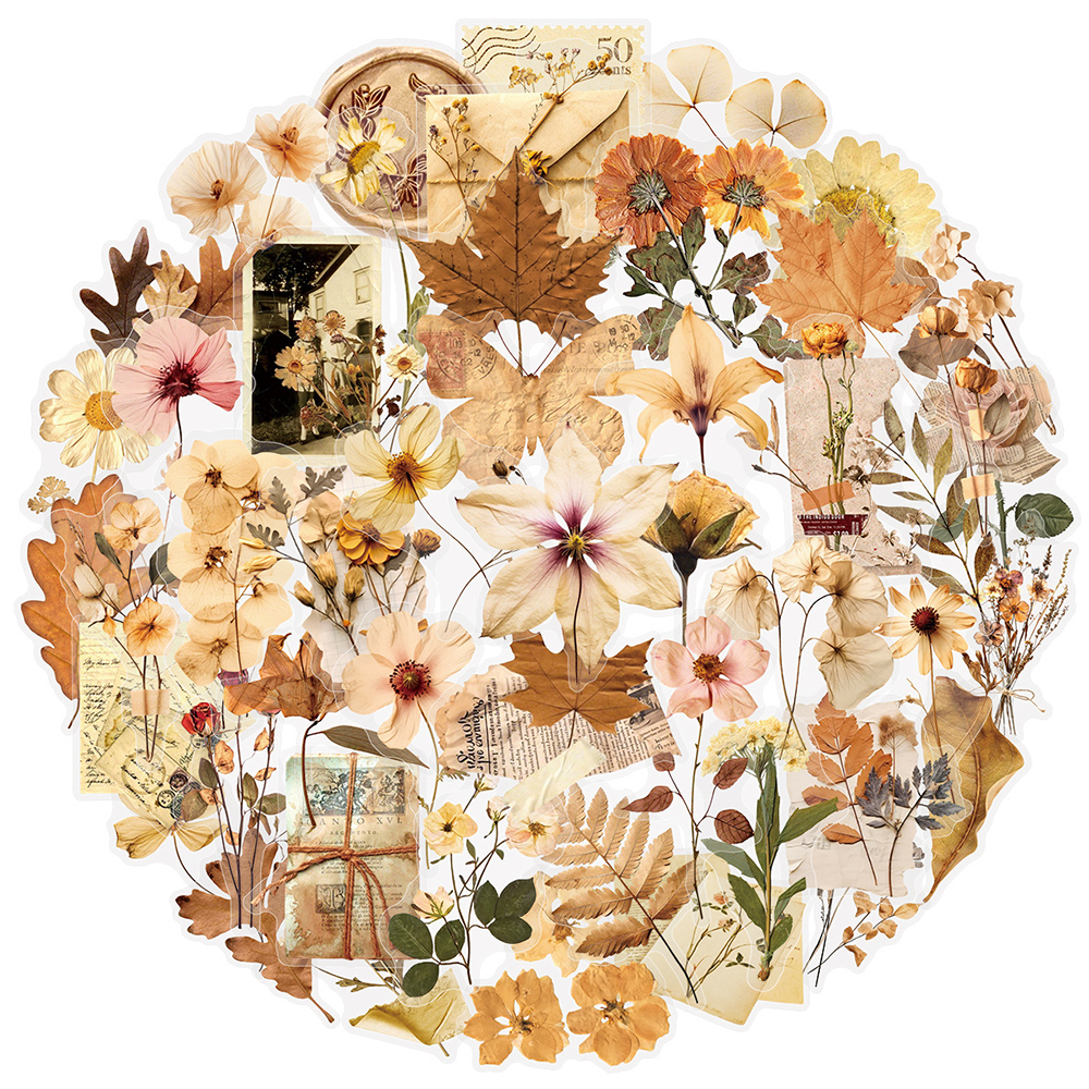 10/30/50pcs Transparent Dried  - Dried Flower Bulk recension och pris