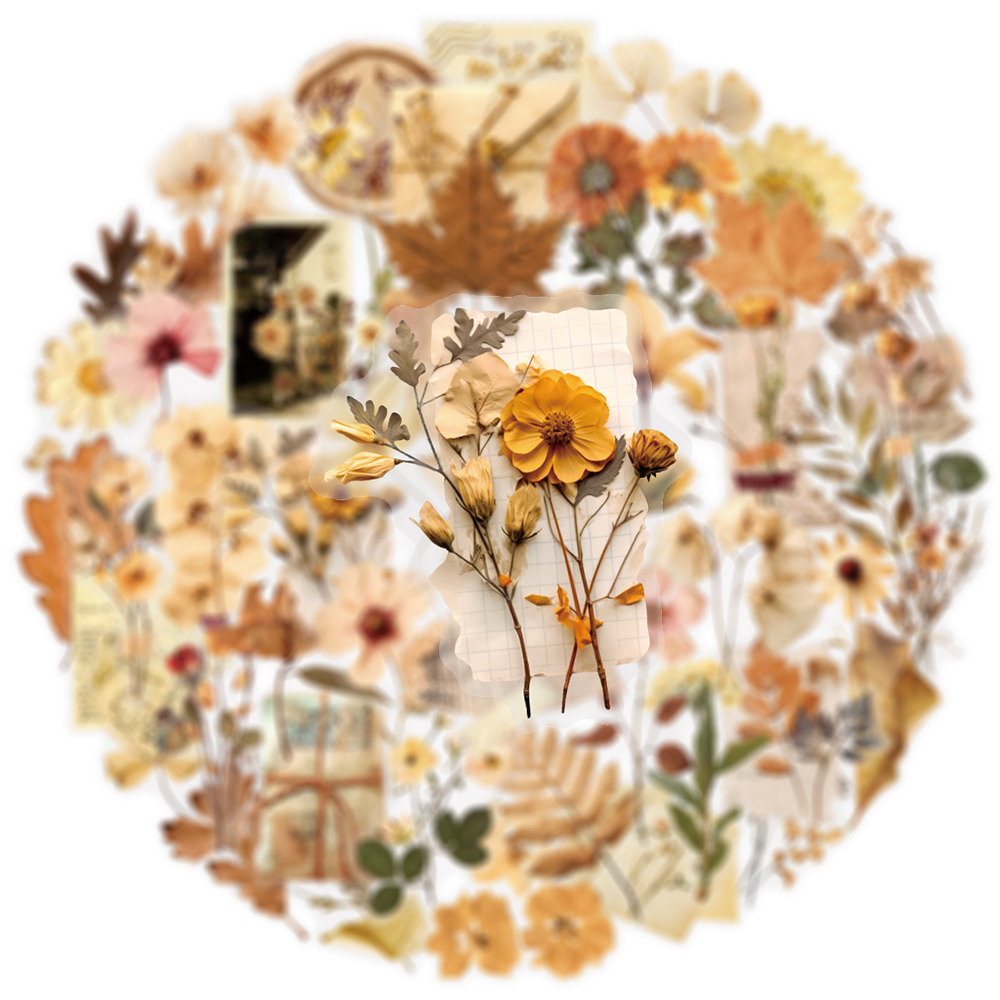 10/30/50pcs Transparent Dried  - Dried Flower Bulk recension och pris