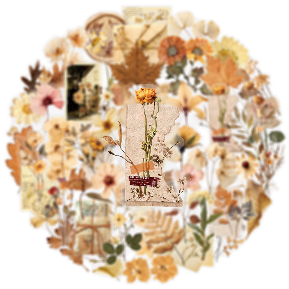 10/30/50pcs Transparent Dried  - Dried Flower Bulk recension och pris
