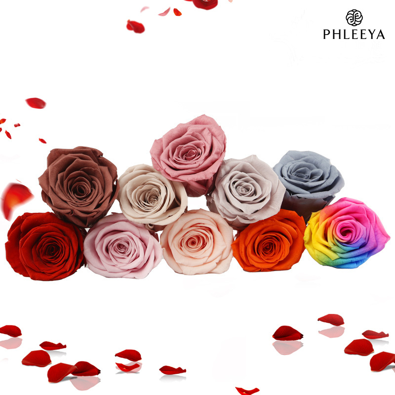 6pcs Eternal Rose Flower Heads - Dried Flower Bulk recension och pris