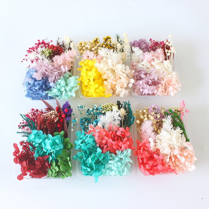 Preserved Flower DIY Kit Seaso - Flower Preservation Resin recension och pris