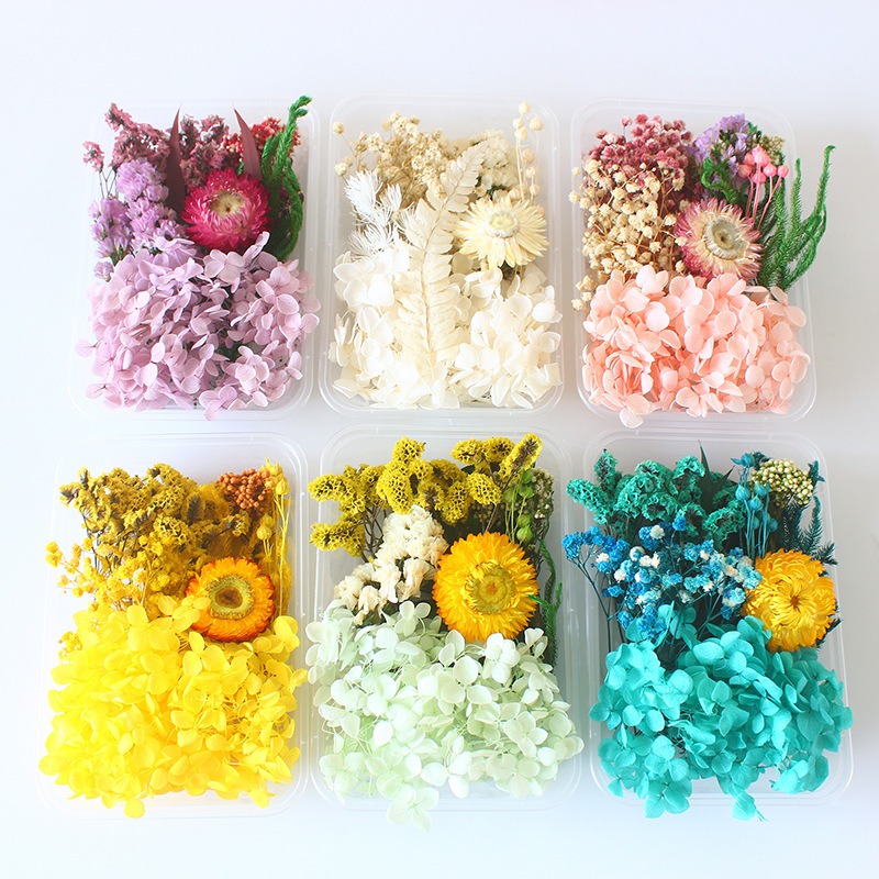 Preserved Flower DIY Kit Seaso - Flower Preservation Resin recension och pris