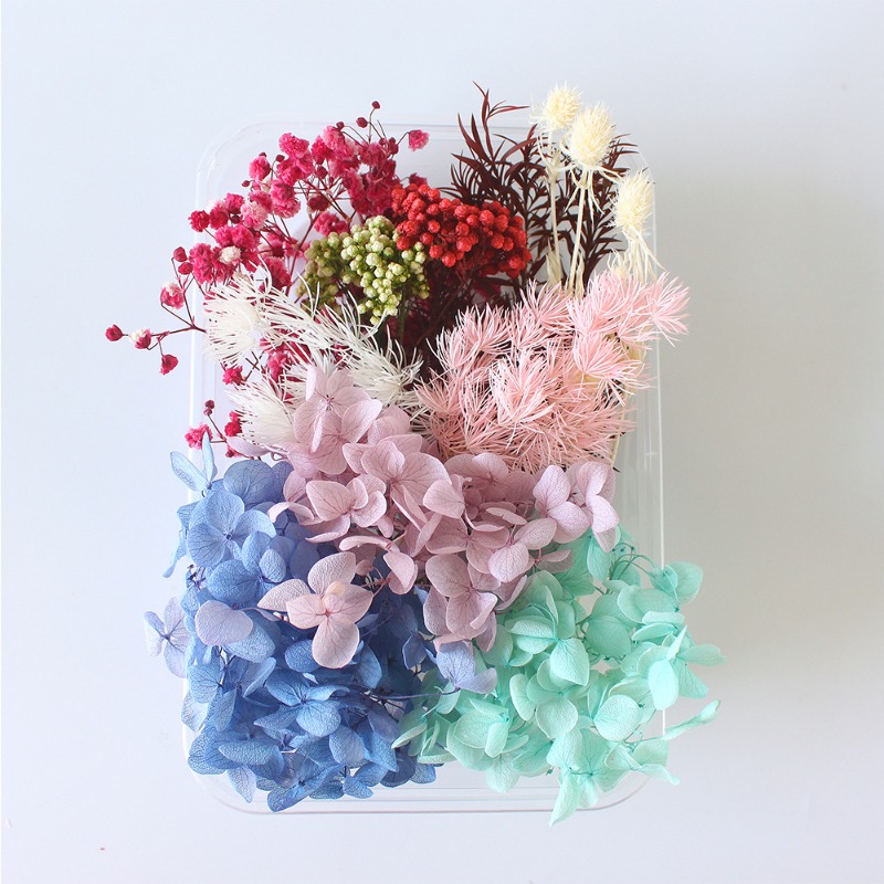 Preserved Flower DIY Kit Seaso - Flower Preservation Resin recension och pris
