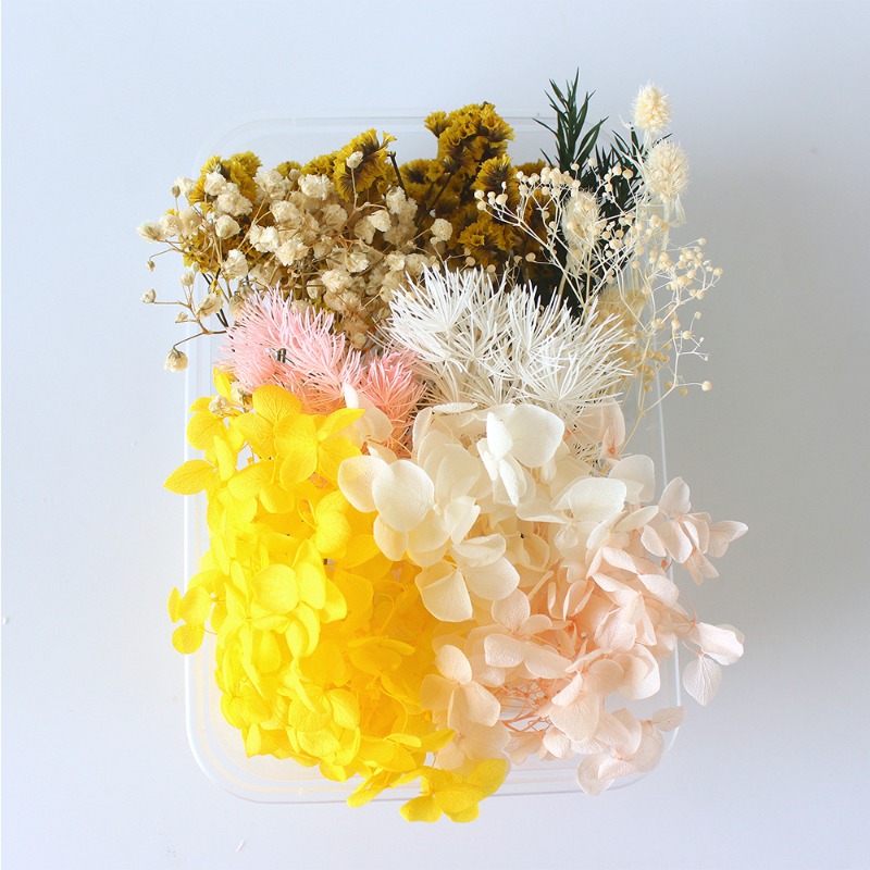 Preserved Flower DIY Kit Seaso - Flower Preservation Resin recension och pris