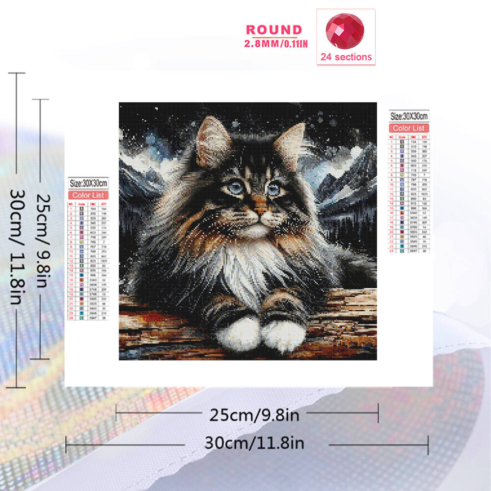 1pc frameless  5D DIY Diamond  - Resin Craft Kit recension och pris